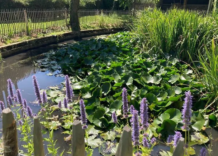 Normande Bed and Breakfast 3*